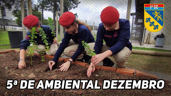 CAPA VT AMBIENTAL 5DE DEZEMBRO 700